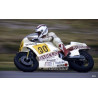 1983 Honda RS 500 "BARCLAY" Jack Middelburg