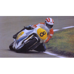 1980 Yamaha YZR 500 - Jack Middelburg