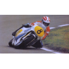 1980 Yamaha YZR 500 - Jack Middelburg