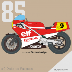 1985 Honda RS 500 "ELF"